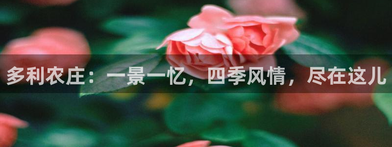 九游会倒闭