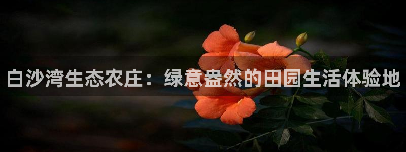 Google 九游会