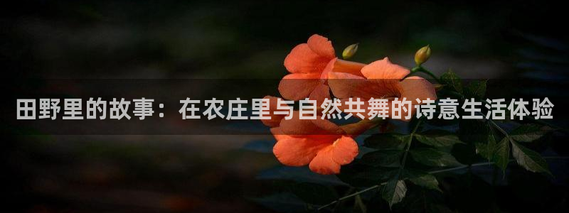 九游会ag8
