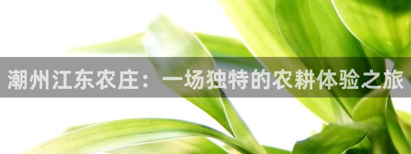 ag九游会网址