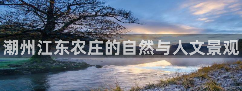 九游会网站网址