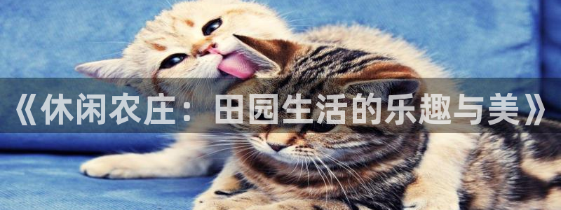 河曲九曲黄河灯游会作文