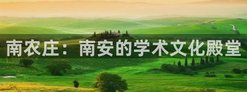 九游会ag群聊