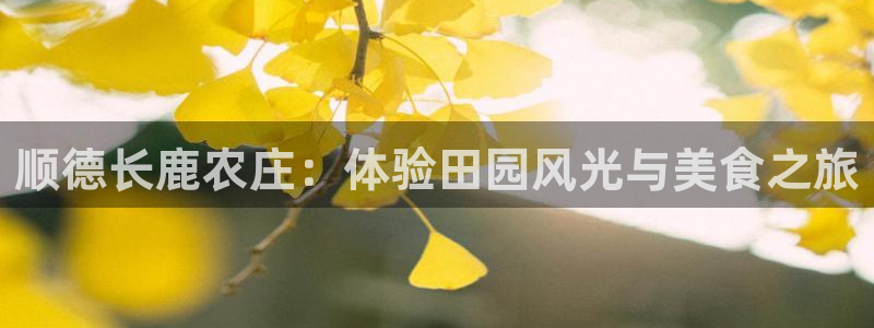 九游会平台怎样