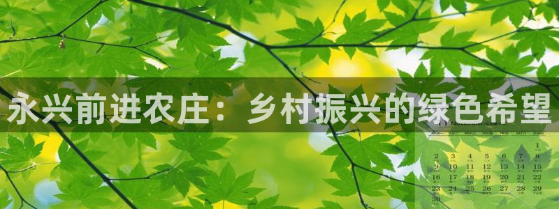 九游会开户