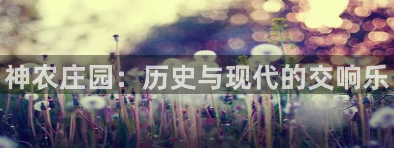 九游会j9不出款