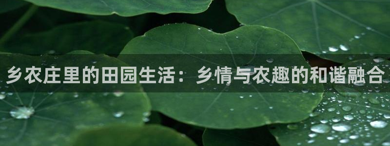 九游会网