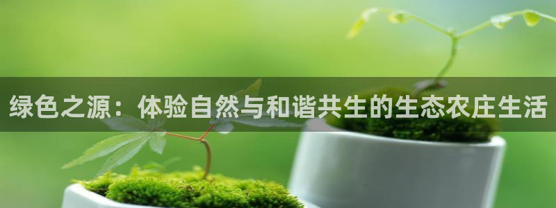 九游游戏会