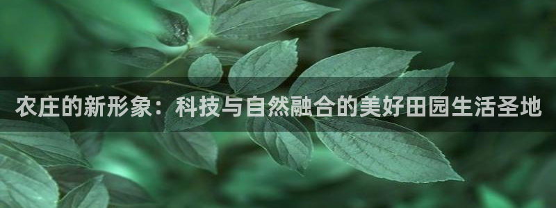 九游会a8g官网