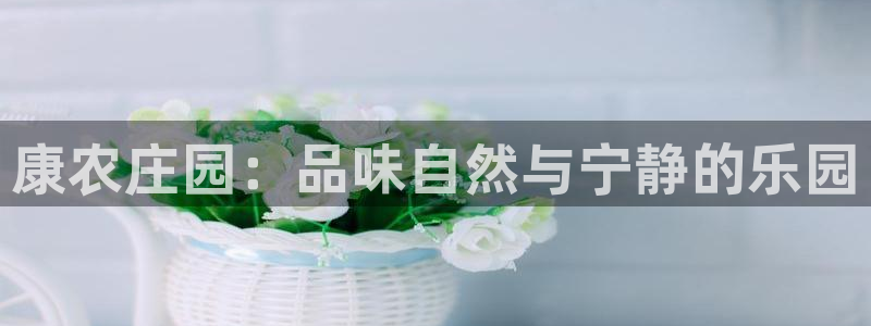 旧站九游会
