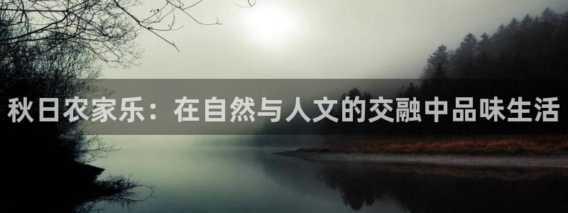 九游会官网人口