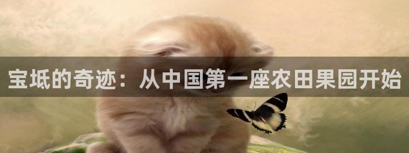 j9.com九游会官网