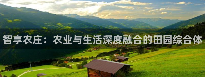 九游会j9备用网址