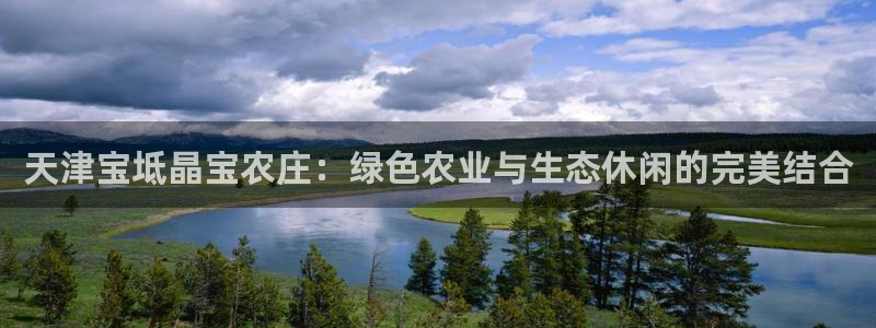九游会软件下载