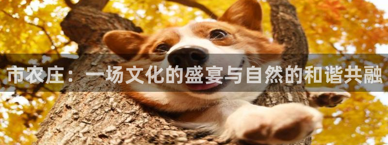 九游会j9提现快吗