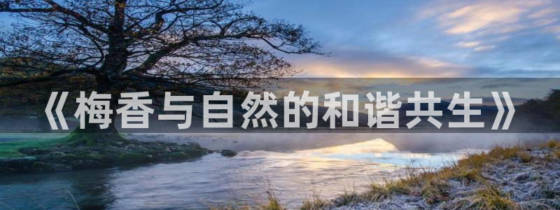 ag九游会官方登陆