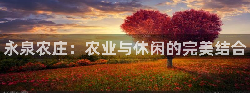 九游会最新入口
