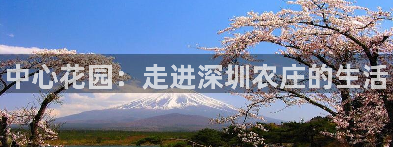 九游会和亚游