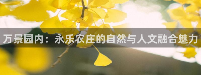 pt九游会