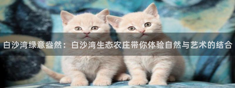 j9九游会ag