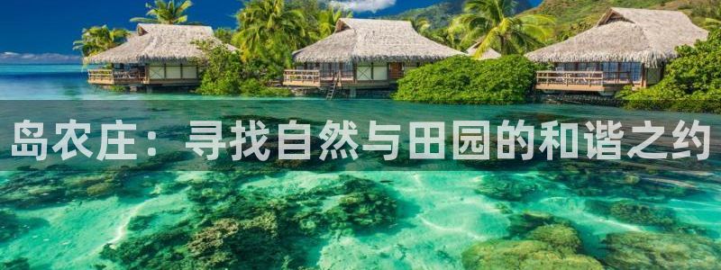 九游会平台最强