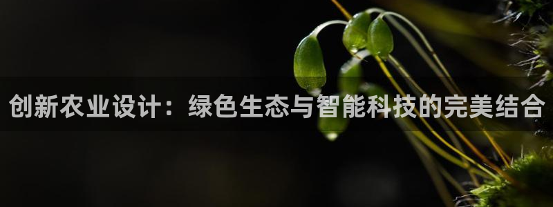 九游会投币入口