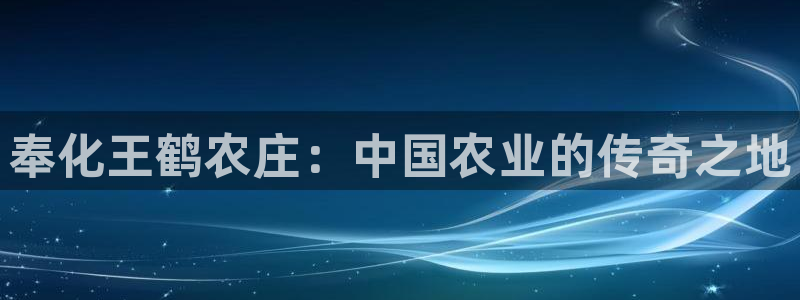 九游会ag.