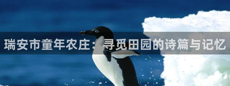亚游国际九游会