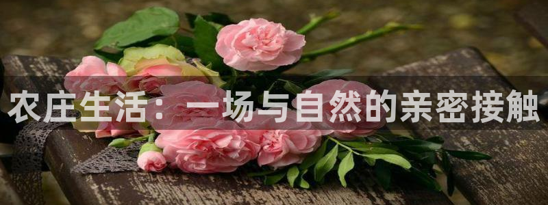 九游会平台