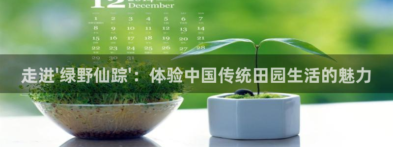 九游会体育竞猜