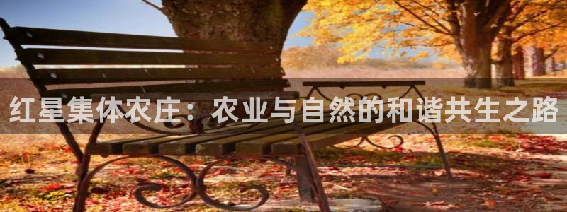 九游会怎么登