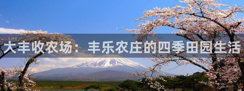 九游游戏股票会退市吗吗