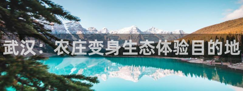 做九游返利会封号嘛
