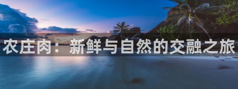 九游会充值入口