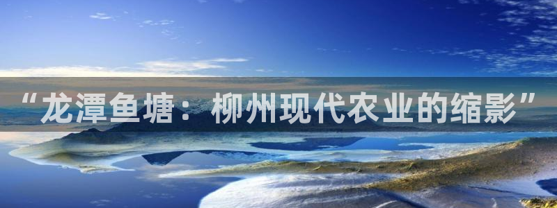 九游会ag永久网址