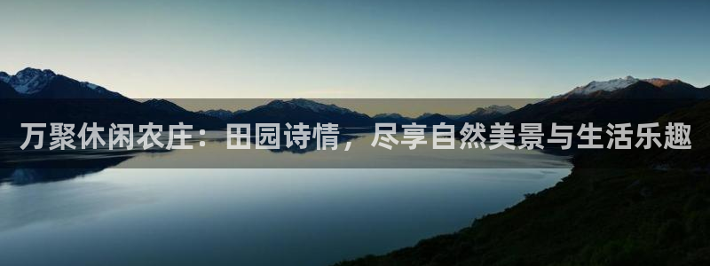 九游会黑网