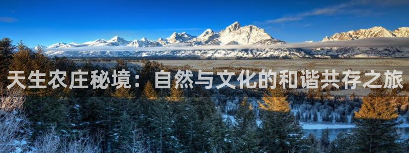 ag8九游会