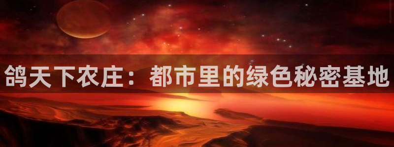 九游会手机app