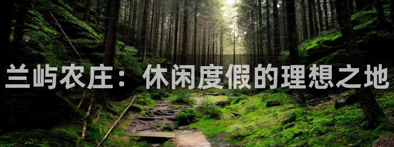 九游会网页版官网