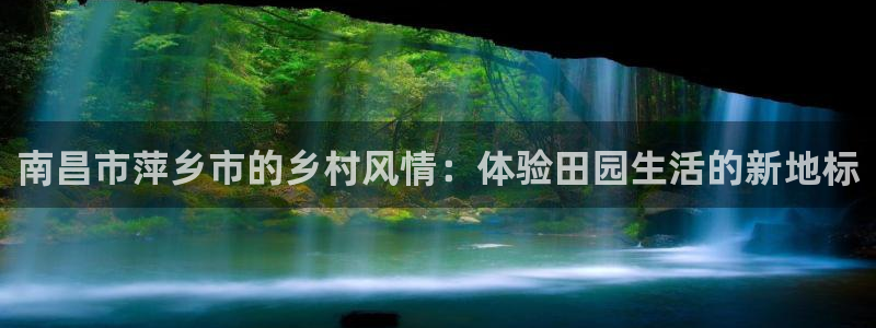 九游会和九游国际区别