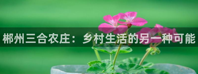 九游会网页版官网