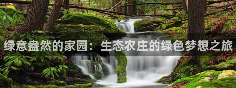 九游会网址多少九