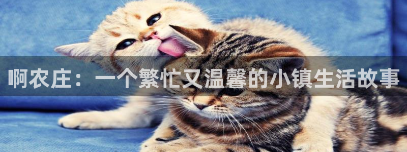 轩辕传奇手游九州摘星会