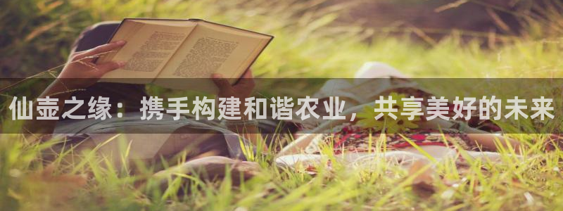 九游会公司