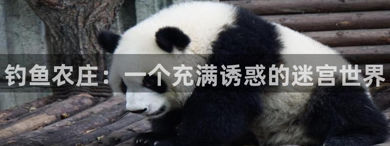 九游会啊