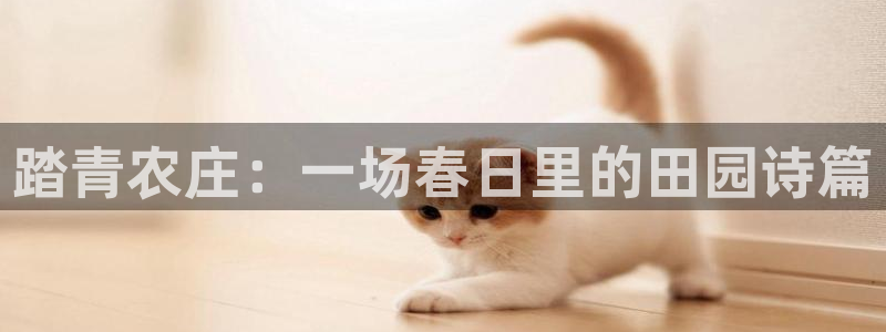 九游会网站打不开