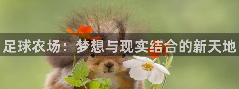 ag九游会老版