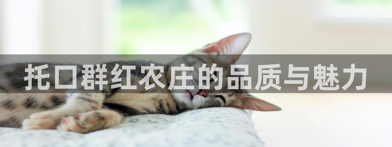 九游会连接