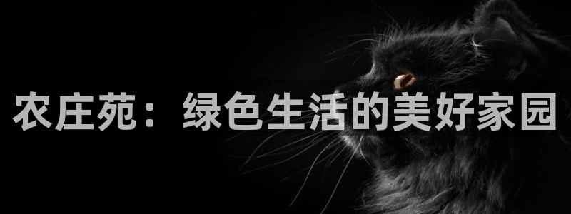 九游会网页入口