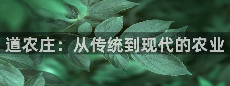 j9九游会官方网站国际